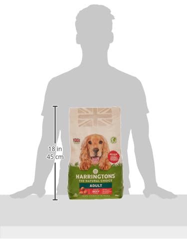 HARRINGTONS Complete Beef Adult Dry Dog Food 4Kg, Green (112786087)