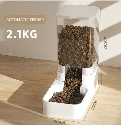 Pet Water and Food Dispenser