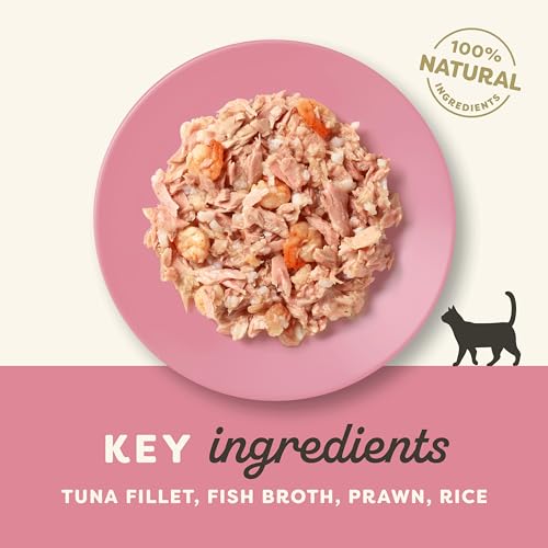 Applaws 100% Natural Wet Cat Food, Tuna Fillet with Prawn, 156g (Pack of 24)