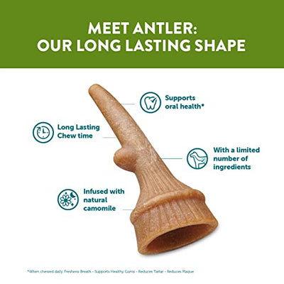 WHIMZEES Antler, Occupying Dental Treat with Calming Effects for Small Dogs (7-12kg), All-Natural, Grain-Free, 24 pieces