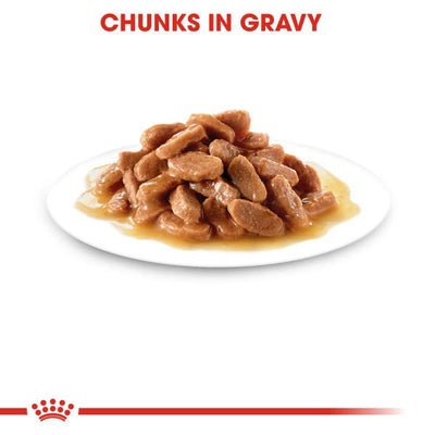 ROYAL CANIN Kitten in Gravy Wet Food 85g (Pack of 48) * Multipack *