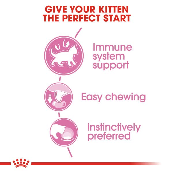 ROYAL CANIN Kitten in Gravy Wet Food 85g (Pack of 48) * Multipack *