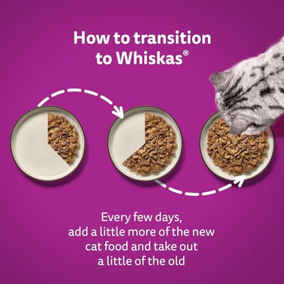 WHISKAS - 7+ أكياس طعام رطب للقطط الكبيرة - 120 × 85 جم - في هلام - عبوة طعام قطط كبيرة - 120 كيسًا