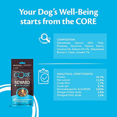 Wellness CORE Reward+ Skin &amp; Coat، 170 جرام، سمك السلمون، مكافآت ناعمة للكلاب لجميع سلالات الكلاب، طبيعية بالكامل، خالية من الحبوب، تحتوي على نسبة عالية من اللحوم، غنية بالبروتين، تدعم صحة الجلد والفراء