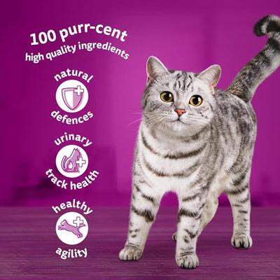 WHISKAS - 7+ Senior Wet Cat Food Pouches - 120 x 85 g - In Jelly - Bulk Cat Food Megapack - 120 Pouches