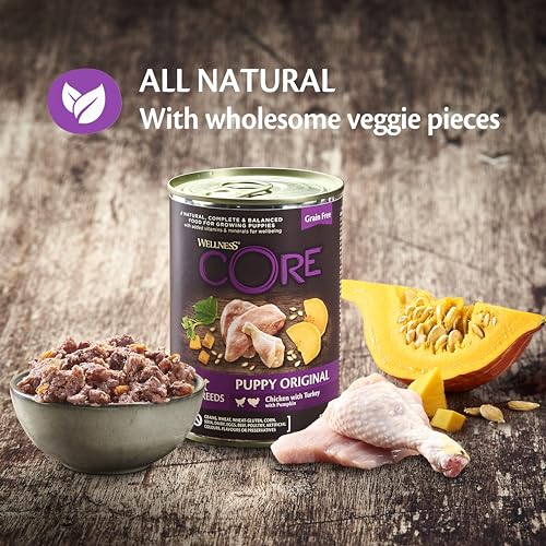 Wellness CORE Puppy Original, 6 x 400g, Chicken & Turkey, Puppy Food Wet for All Breed Puppies, Chunky Paté, Grain-Free, High Meat Content, Protein-Rich, Supports Brain & Eye Development