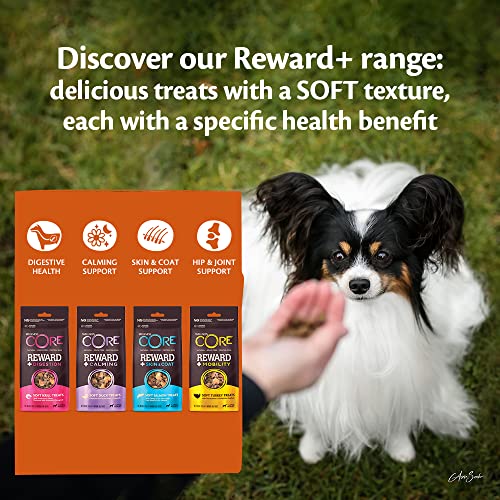 Wellness CORE Reward+ Skin & Coat, 170g, Salmon, Soft Dog Treats for All Dog Breeds, All-Natural, Grain-Free, High Meat Content, Protein-Rich, Supports Healthy Skin & Coat