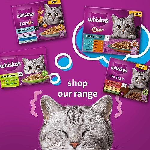 WHISKAS - 7+ أكياس طعام رطب للقطط الكبيرة - 120 × 85 جم - في هلام - عبوة طعام قطط كبيرة - 120 كيسًا