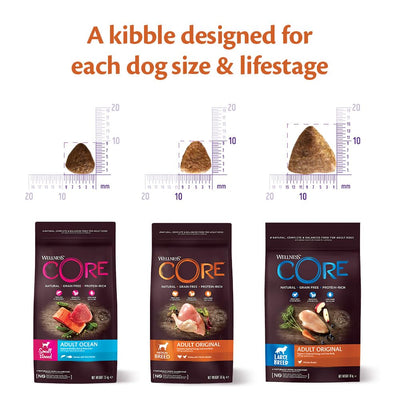 Wellness CORE Small Breed Ocean, 5kg, Salmon & Tuna, Dry Dog Food for Small Breeds, Grain-Free, High Fish Content, Protein-Rich, Supports Healthy Skin & Shiny Coat