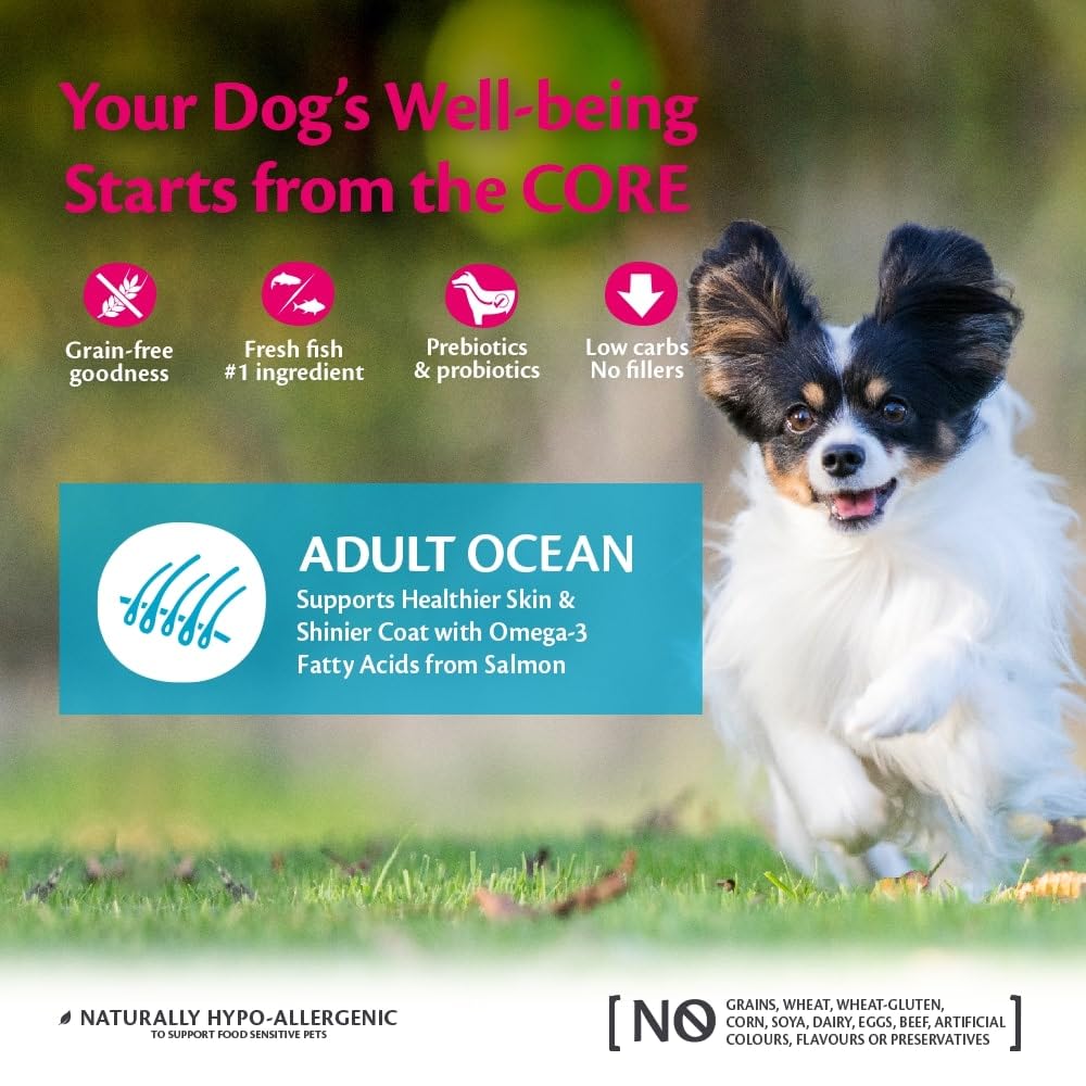 Wellness CORE Small Breed Ocean، 5 كجم، سمك السلمون والتونة، طعام جاف للكلاب من السلالات الصغيرة، خالٍ من الحبوب، يحتوي على نسبة عالية من الأسماك، غني بالبروتين، يدعم صحة الجلد وفراء لامع