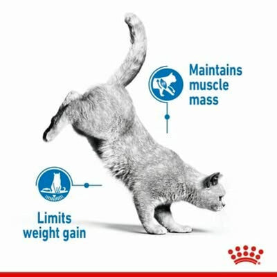 Royal Canin Light Weight Care Adult Dry Cat Food 3kg