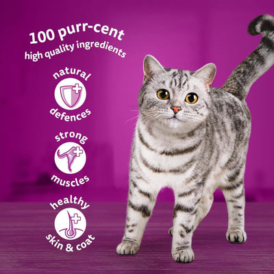 WHISKAS - 1+ Adult Wet Cat Food Pouches - 40 x 85 g - Poultry Selection - Bulk Cat Food Megapack - 40 Jelly Pouches