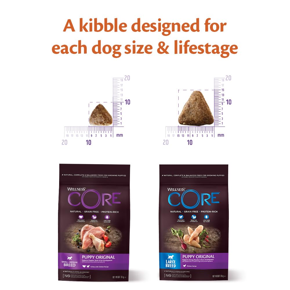 Wellness CORE Puppy Original، 10 كجم، ديك رومي ودجاج، طعام جراء جاف للجراء من السلالات الصغيرة والمتوسطة، طبيعي بالكامل، خالٍ من الحبوب، يحتوي على نسبة عالية من اللحوم، بدون سكر مضاف