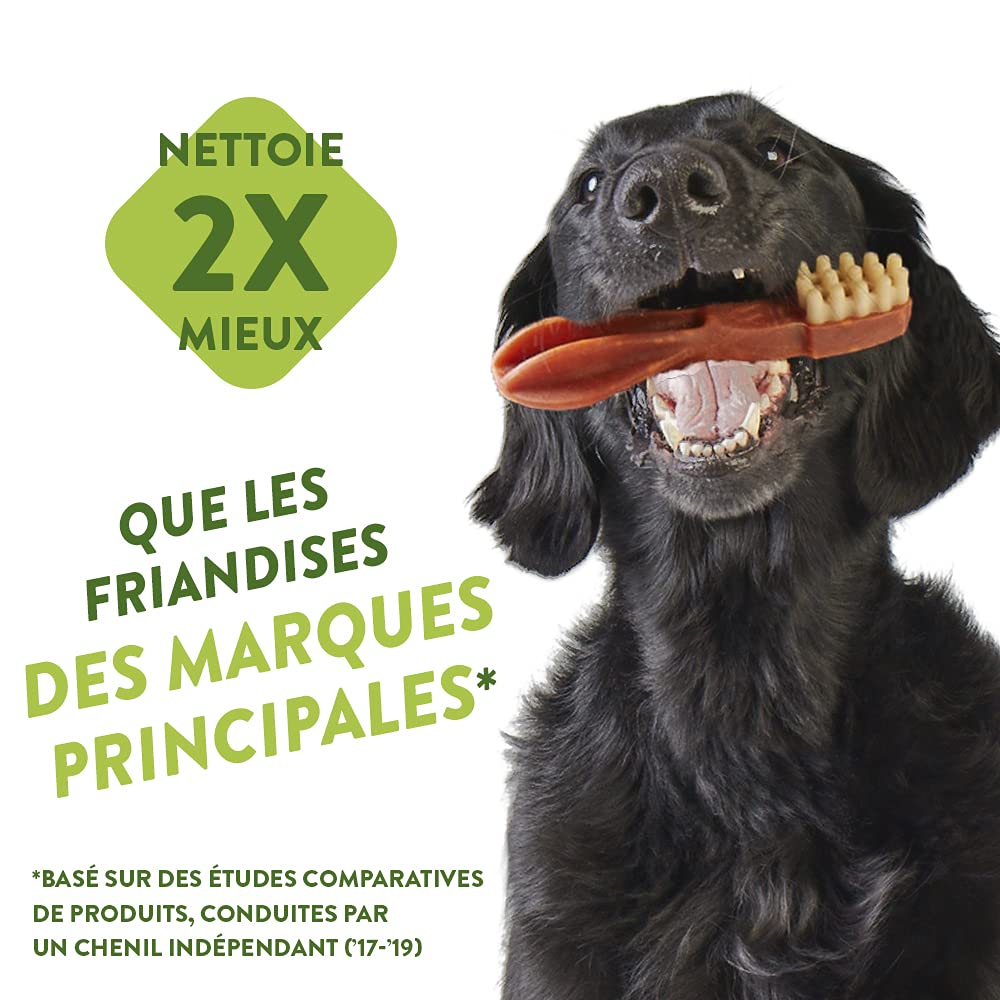 WHIMZEES By Wellness Stix, Natural and Grain-Free Dog Chews, Dog Dental Sticks for Extra Small Breeds, 56 Pieces, Size XS & By Wellness Toothbrush, Natural and Grain-Free Dog Chews, 48 Pieces, Size XS