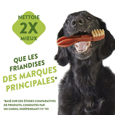 WHIMZEES By Wellness Stix, Natural and Grain-Free Dog Chews, Dog Dental Sticks for Extra Small Breeds, 56 Pieces, Size XS & By Wellness Toothbrush, Natural and Grain-Free Dog Chews, 48 Pieces, Size XS