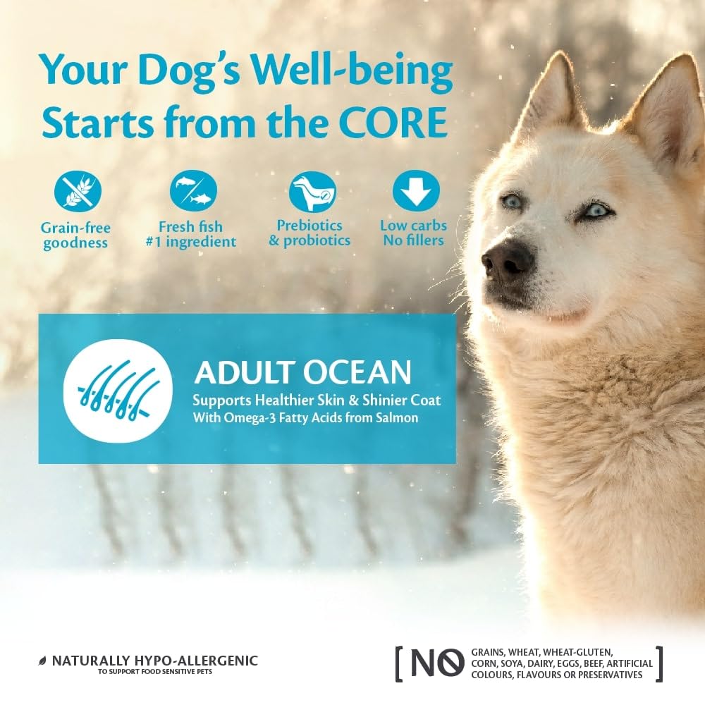 Wellness CORE Adult Ocean، 10 كجم، سمك السلمون والتونة، طعام جاف للكلاب من السلالات المتوسطة إلى الكبيرة، خالٍ من الحبوب، يحتوي على نسبة عالية من الأسماك، غني بالبروتين، يدعم صحة الجلد والفراء اللامع