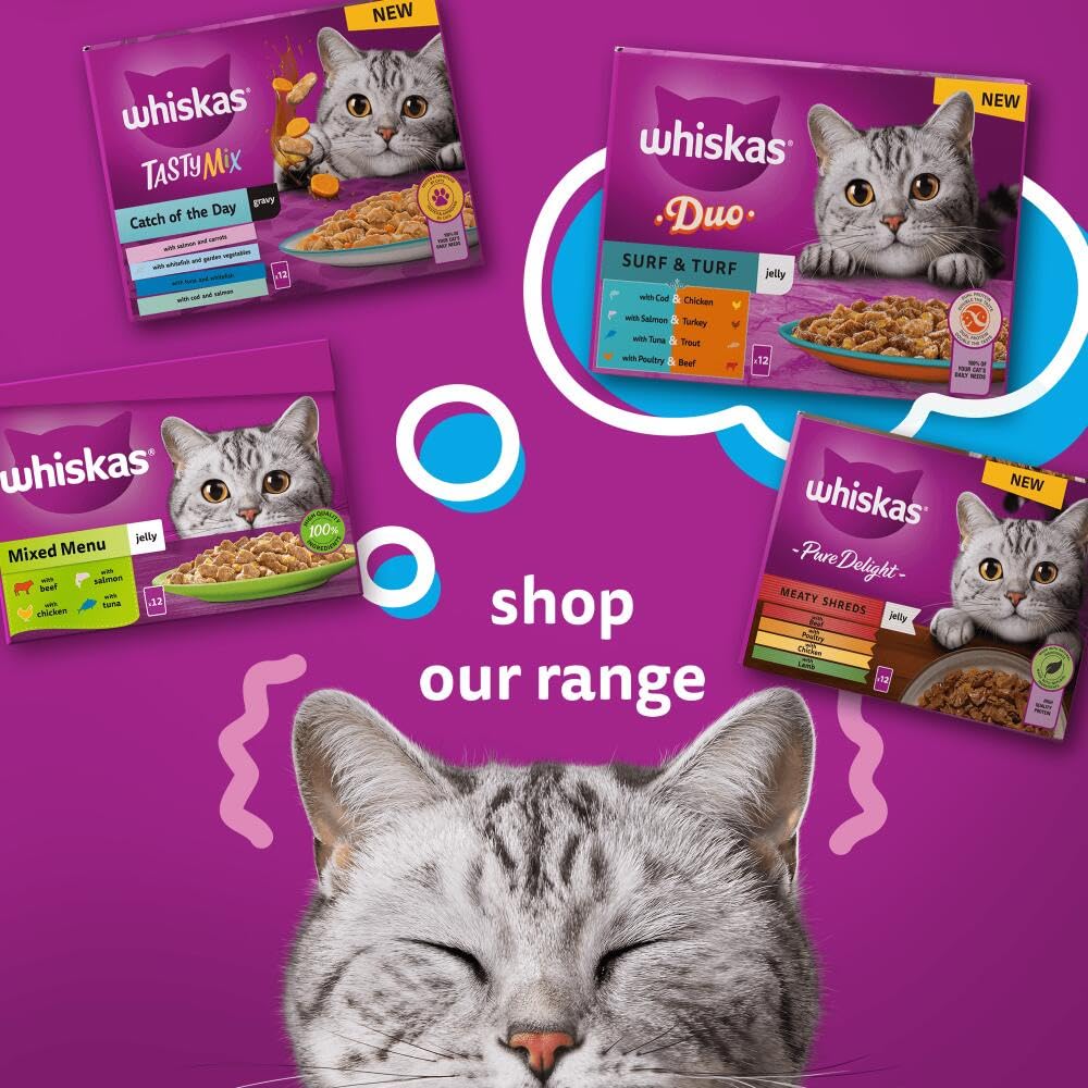 WHISKAS - 1+ Adult Wet Cat Food Pouches - 40 x 85 g - Poultry Selection - Bulk Cat Food Megapack - 40 Jelly Pouches