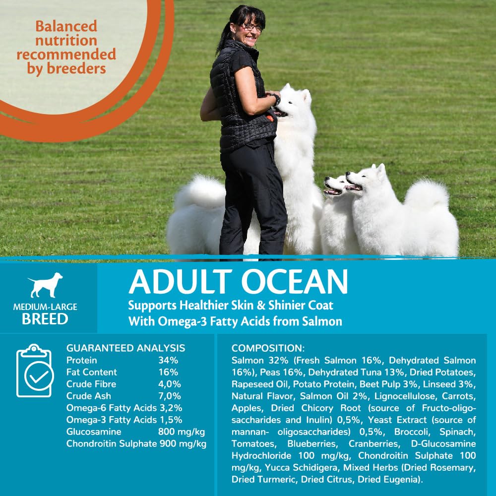 Wellness CORE Adult Ocean, 10kg, Salmon & Tuna, Dry Dog Food for Medium to Large Breeds, Grain-Free, High Fish Content, Protein-Rich, Supports Healthy Skin & Shiny Coat