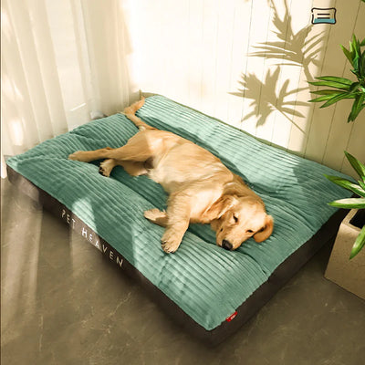 PurrClean Washable Pet Bed